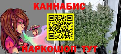 хмурый Шелехов